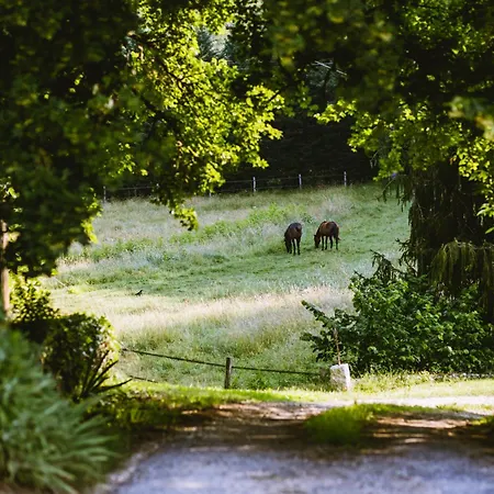 Romantique Avec Sauna, Spa, Cinema -la Closerie Du Biard- * Beaumont-en-Perigord