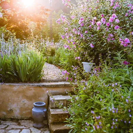 Летний дом Romantique Avec Sauna, Spa, Cinema -la Closerie Du Biard- Beaumont-en-Perigord